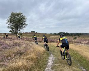 VVW-Gravel afbeelding